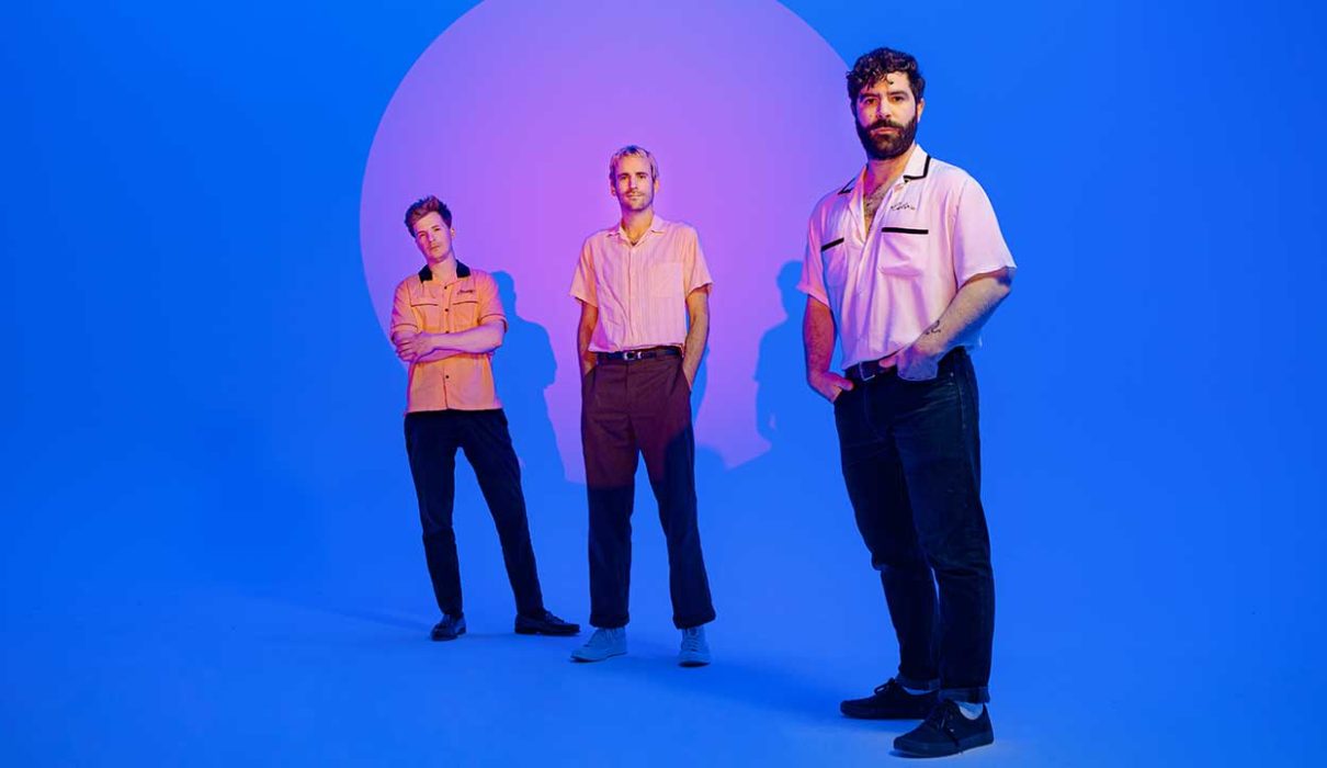 foals