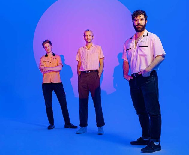 foals