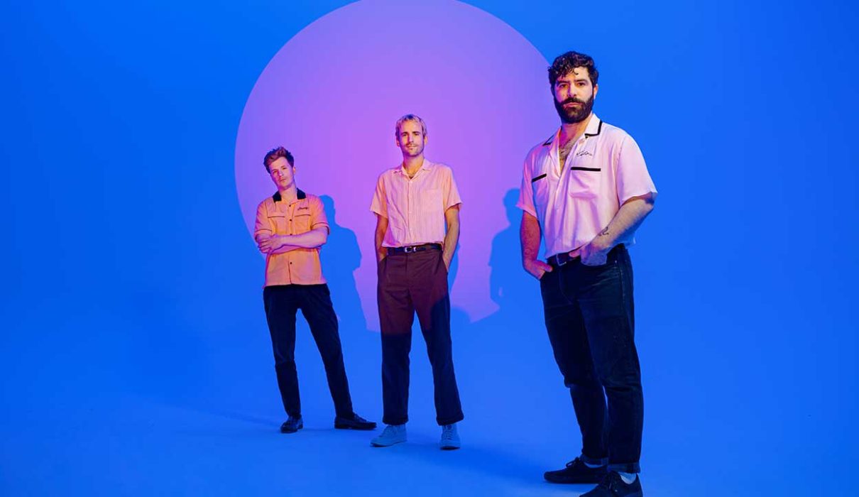 foals